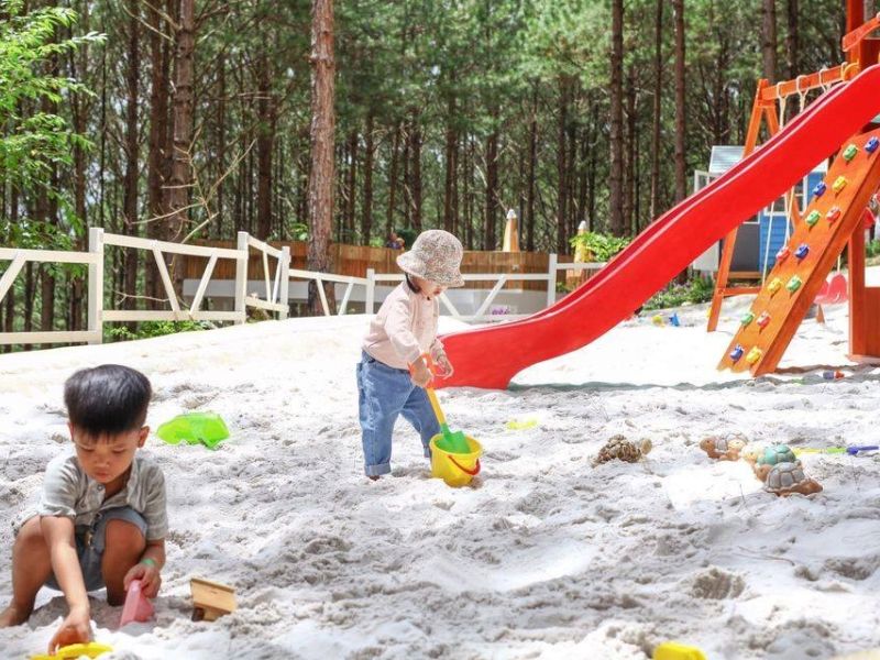 Rừng Thông Mơ Farm & Bistro: Điểm đến lý tưởng cho kỳ nghỉ cuối tuần 8
