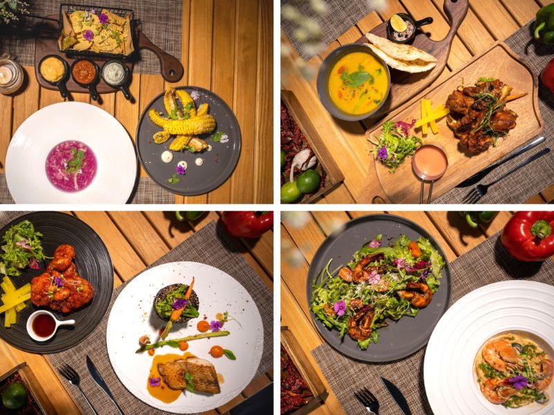 Rừng Thông Mơ Farm & Bistro: Điểm đến lý tưởng cho kỳ nghỉ cuối tuần 5