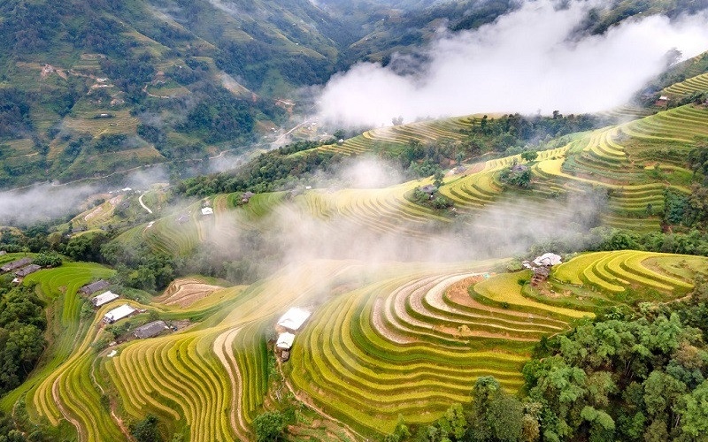 11 ruộng bậc thang đẹp nhất Việt Nam khiến ai cũng ngẩn ngơ 11