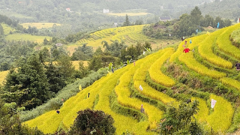 11 ruộng bậc thang đẹp nhất Việt Nam khiến ai cũng ngẩn ngơ 12