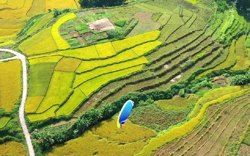 11 ruộng bậc thang đẹp nhất Việt Nam khiến ai cũng ngẩn ngơ 13