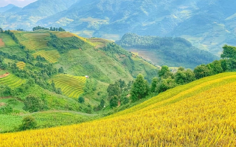 11 ruộng bậc thang đẹp nhất Việt Nam khiến ai cũng ngẩn ngơ 17