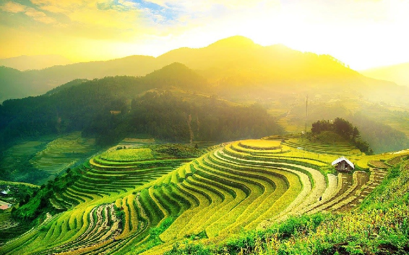 11 ruộng bậc thang đẹp nhất Việt Nam khiến ai cũng ngẩn ngơ 19