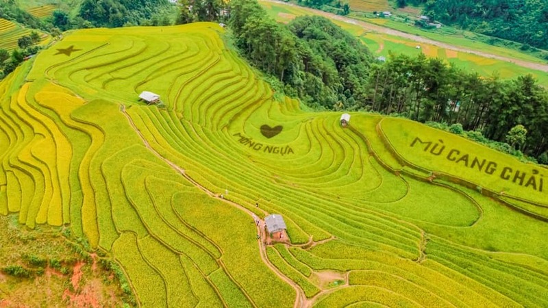 Top 10 ruộng bậc thang “tuyệt đối điện ảnh” của du lịch Việt Nam 3