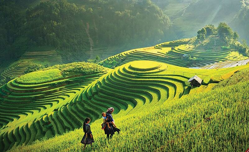 Top 10 ruộng bậc thang “tuyệt đối điện ảnh” của du lịch Việt Nam 4