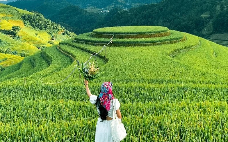 11 ruộng bậc thang đẹp nhất Việt Nam khiến ai cũng ngẩn ngơ 4