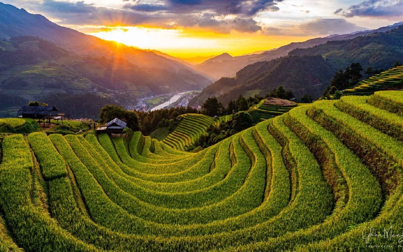 11 ruộng bậc thang đẹp nhất Việt Nam khiến ai cũng ngẩn ngơ 5