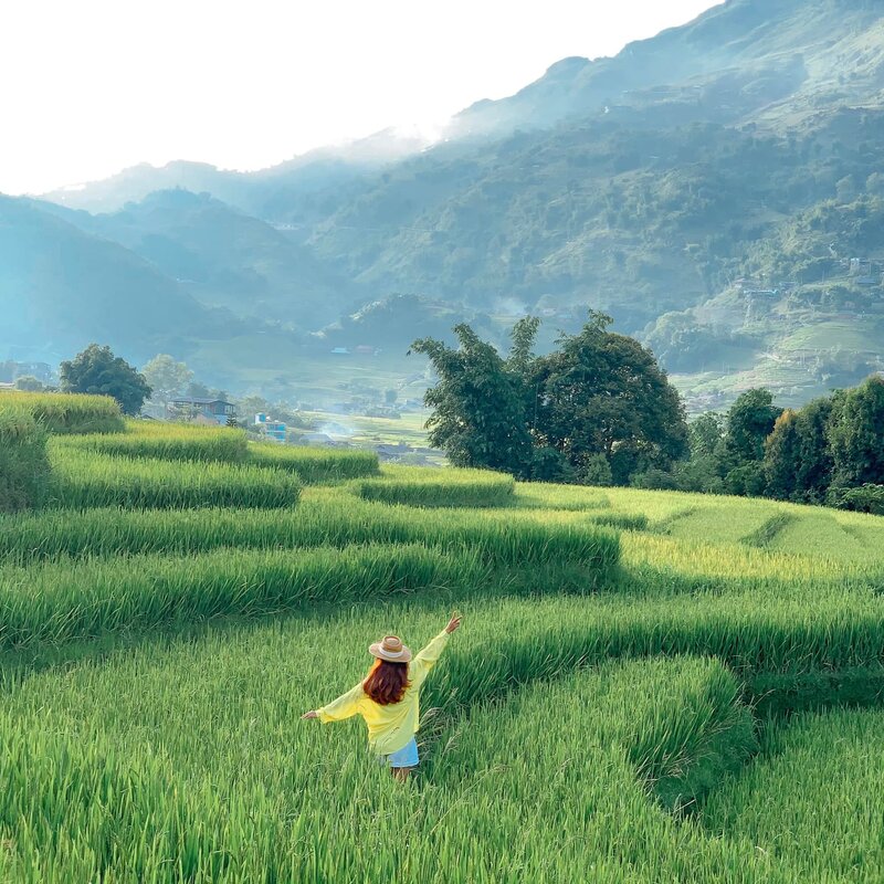 Top 10 ruộng bậc thang “tuyệt đối điện ảnh” của du lịch Việt Nam 7