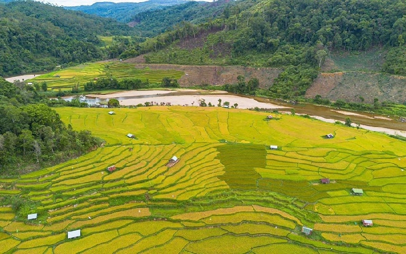 11 ruộng bậc thang đẹp nhất Việt Nam khiến ai cũng ngẩn ngơ 7