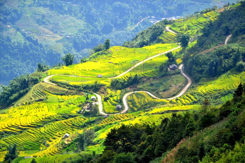 Top 10 ruộng bậc thang “tuyệt đối điện ảnh” của du lịch Việt Nam 8