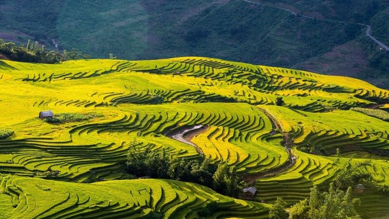 11 ruộng bậc thang đẹp nhất Việt Nam khiến ai cũng ngẩn ngơ 9