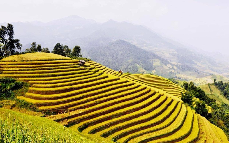 11 ruộng bậc thang đẹp nhất Việt Nam khiến ai cũng ngẩn ngơ 10