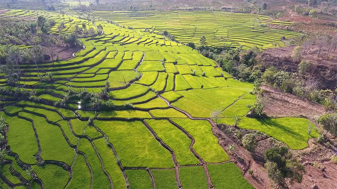 Ruộng bậc thang Đak Tơ Pê và vẻ đẹp hoang sơ miền sơn cước 2