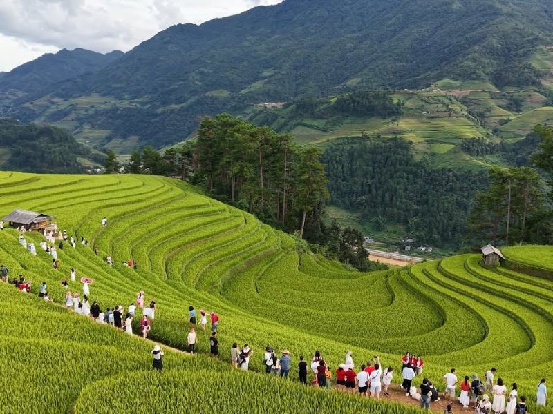 Check-in ruộng bậc thang Thu Lũm, tuyệt tác giữa núi rừng Tây Bắc 7