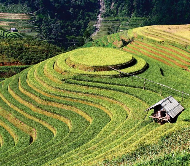 Ruộng bậc thang Mù Cang Chải: Nét đẹp giao hòa giữa Tây Bắc 2