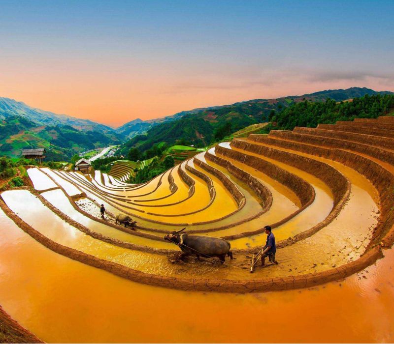 Ruộng bậc thang Mù Cang Chải: Nét đẹp giao hòa giữa Tây Bắc 3