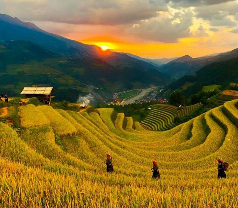 Ruộng bậc thang Mù Cang Chải: Nét đẹp giao hòa giữa Tây Bắc 4