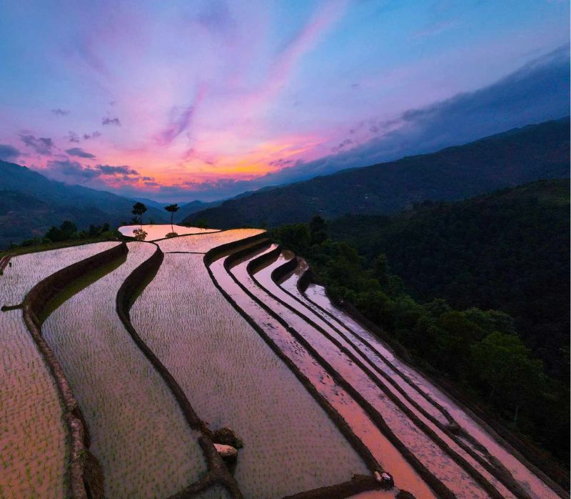 Ruộng bậc thang Mù Cang Chải: Nét đẹp giao hòa giữa Tây Bắc 5