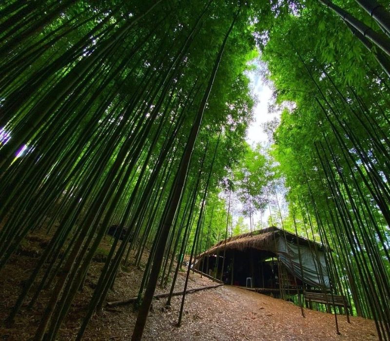 Ruộng bậc thang Mù Cang Chải: Nét đẹp giao hòa giữa Tây Bắc 9