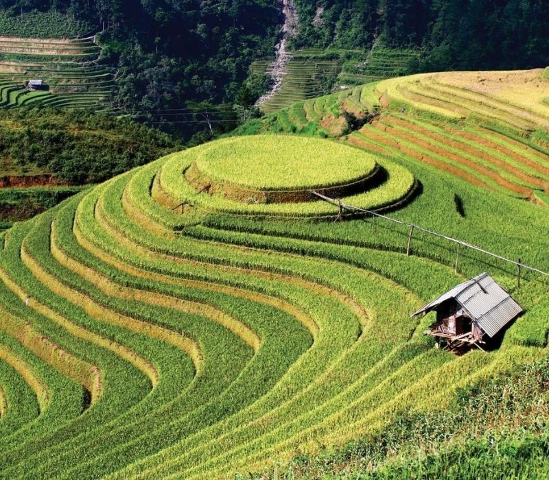 Ruộng bậc thang Mù Cang Chải: Nét đẹp giao hòa giữa Tây Bắc