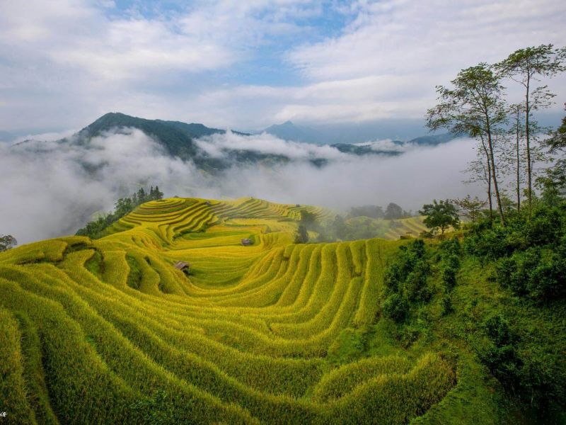 Check-in ruộng bậc thang Thu Lũm, tuyệt tác giữa núi rừng Tây Bắc 2