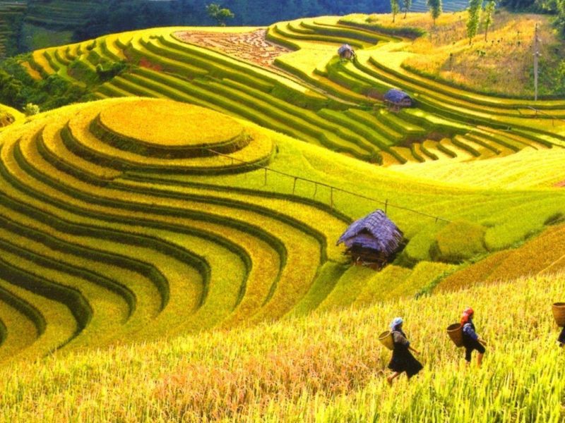 Check-in ruộng bậc thang Thu Lũm, tuyệt tác giữa núi rừng Tây Bắc 3