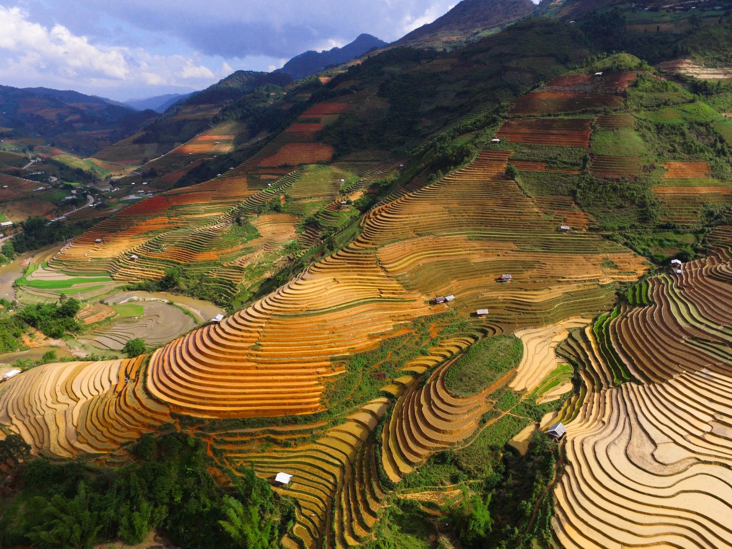 Ruộng bậc thang xã Chế Cu Nha đẹp tuyệt sắc mỗi khi mùa vàng gõ cửa 2