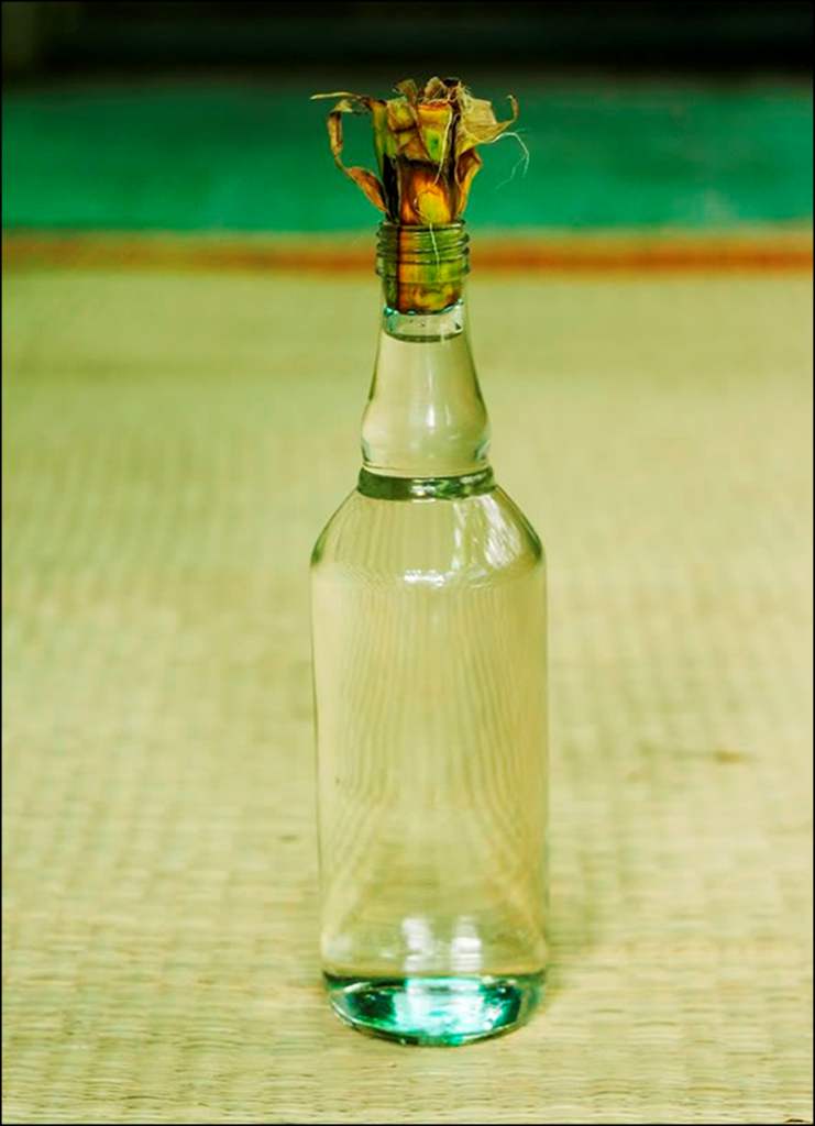 Rượu Kim Sơn - Đặc sản vùng đất Ninh Bình cùng những công dụng hữu ích 6