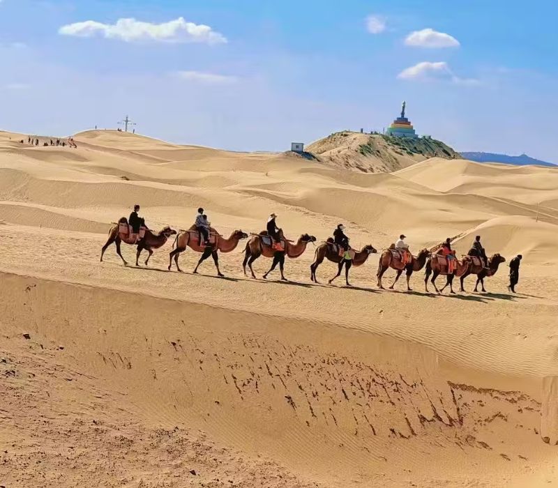 Review sa mạc Kubuqi: Chuyến đi vào dây cung cát Nội Mông và cái kết nghiện mùi đại mạc 2