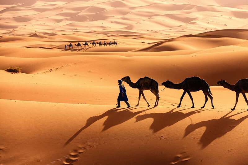 Khám phá sa mạc Sahara khắc nghiệt nhưng tràn đầy sức hút 3