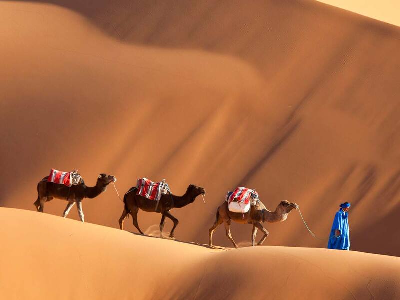 Khám phá sa mạc Sahara khắc nghiệt nhưng tràn đầy sức hút 6
