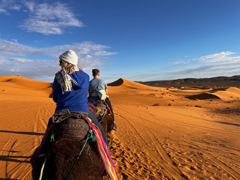 Khám phá sa mạc Sahara khắc nghiệt nhưng tràn đầy sức hút 7