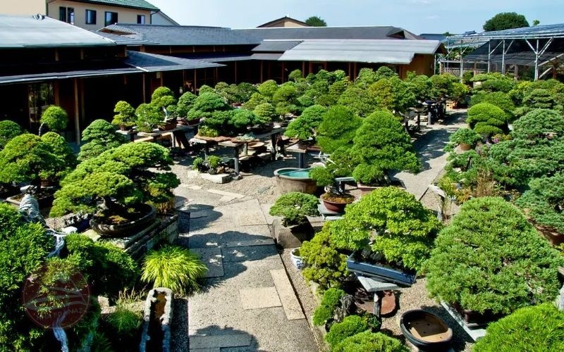 Khám phá Saitama và những trải nghiệm không nên bỏ lỡ 6