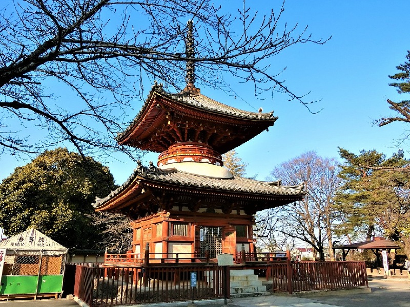 Khám phá Saitama và những trải nghiệm không nên bỏ lỡ 8