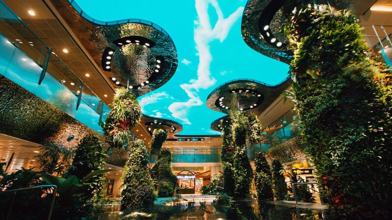 Sân bay Changi: Khám phá thiên đường bay tốt nhất thế giới 6