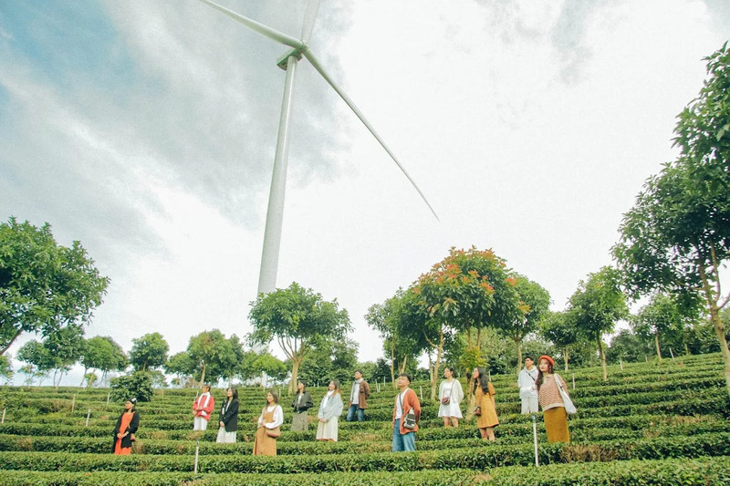 Bí quyết săn mây Cầu Gỗ Bình Minh với trải nghiệm đẹp nhất Đà Lạt 7