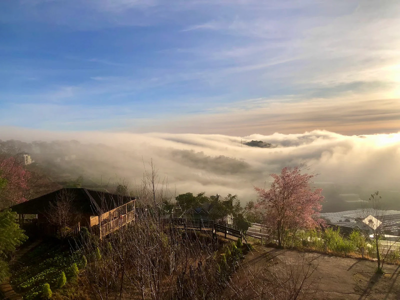 Kinh nghiệm săn mây Đà Lạt: Top 22 địa điểm săn mây có view đẹp nhất 22