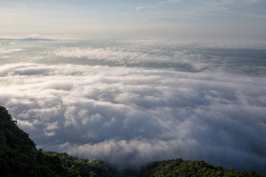 Săn mây Núi Bà Đen, hành trình tìm về tiên cảnh nơi nóc nhà nam bộ 5