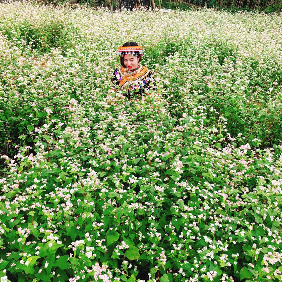 Săn mùa hoa tam giác mạc ở Thạch Sơn Thần Hà Giang kỳ bí 7