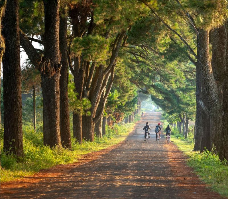 Khám phá Sân vận động Pleiku, chảo lửa của Tây Nguyên 10