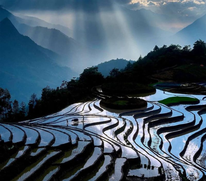 Du lịch Sapa tháng 5: Kinh nghiệm khám phá mùa nước đổ huyền ảo 3