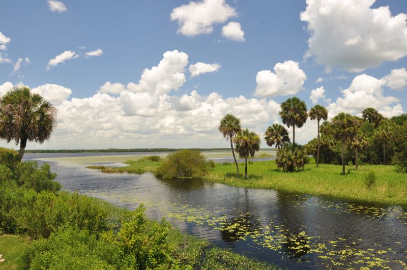 Du lịch Sarasota: Thiên đường biển cùng không gian nghệ thuật sôi động 6