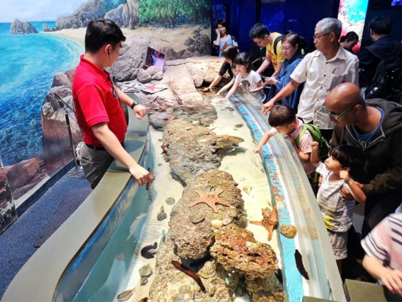 Khám phá đại dương thu nhỏ tại S.E.A Aquarium Singapore 7