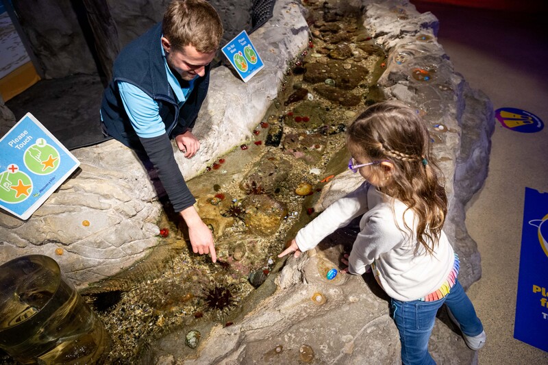 SEA Life Sydney Aquarium hành trình khám phá thế giới dưới nước 9