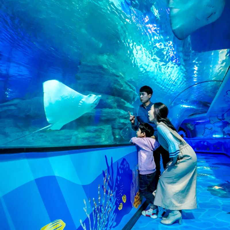 Sealife Busan và trải nghiệm đi giữa đại dương thu nhỏ đa sắc màu 2