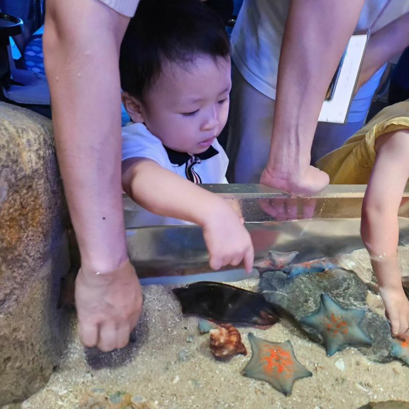 Sealife Busan và trải nghiệm đi giữa đại dương thu nhỏ đa sắc màu 5