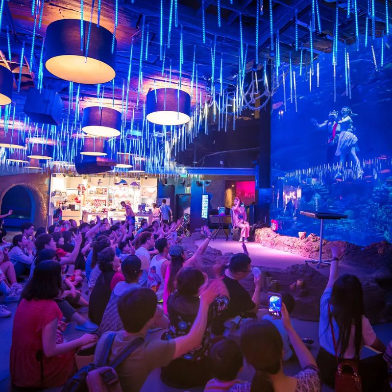 Sealife Busan và trải nghiệm đi giữa đại dương thu nhỏ đa sắc màu 8