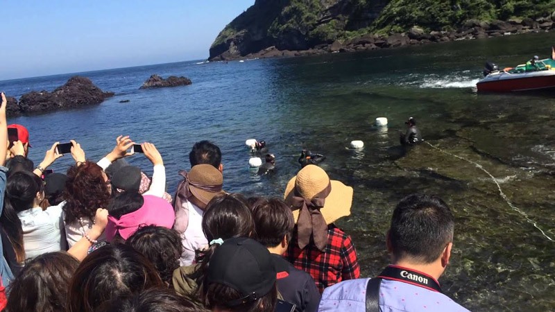 Ghé thăm Seongsan Ilchulbong, khám phá núi lửa tuyệt đẹp của Jeju 10