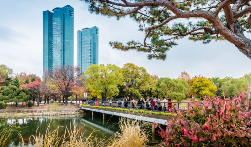 Seoul Forest tuyệt tác thiên nhiên và kiến trúc giữa lòng thủ đô 2