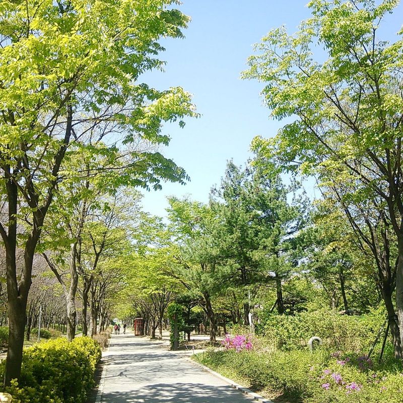 Seoul Forest tuyệt tác thiên nhiên và kiến trúc giữa lòng thủ đô 3